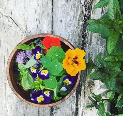 The Gananoque Inn Food & Catering